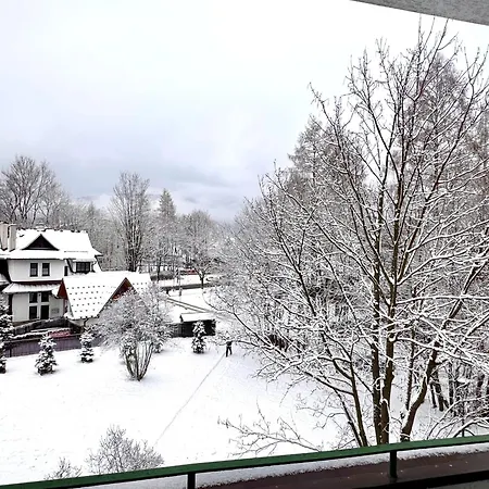 Апартаменты Sagankowy Zakatek